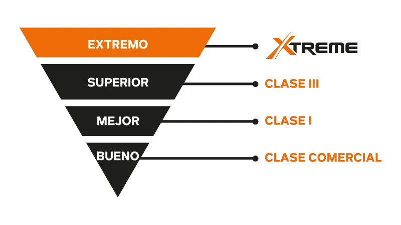 Triángulo invertido XTREME®